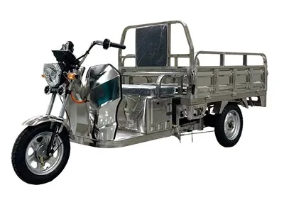 شہری کارگو موٹرسائیکل